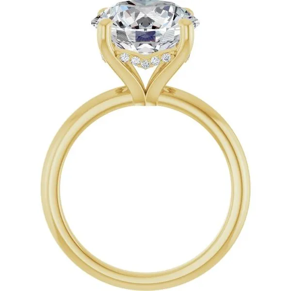 Hidden Halo-Style Engagement Ring Image 2 Raleigh Diamond Fine Jewelry Raleigh, NC