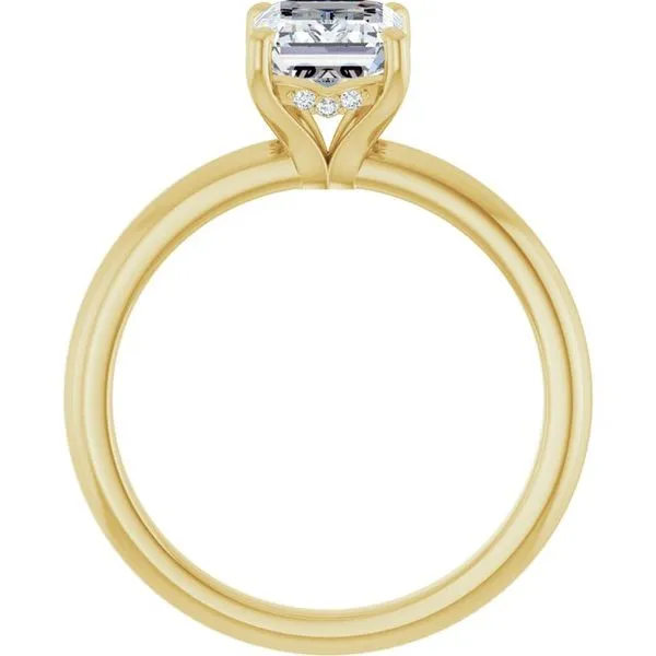 Hidden Halo-Style Engagement Ring Image 2 Dripping Diamonds Dripping Springs, TX