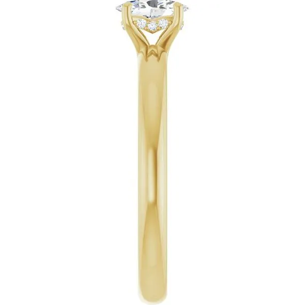 Hidden Halo-Style Engagement Ring Image 4 Raleigh Diamond Fine Jewelry Raleigh, NC