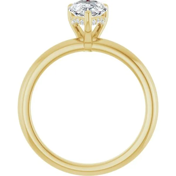 Hidden Halo-Style Engagement Ring Image 2 Dripping Diamonds Dripping Springs, TX