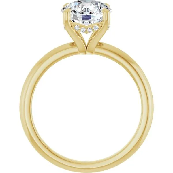 Hidden Halo-Style Engagement Ring Image 2 Raleigh Diamond Fine Jewelry Raleigh, NC