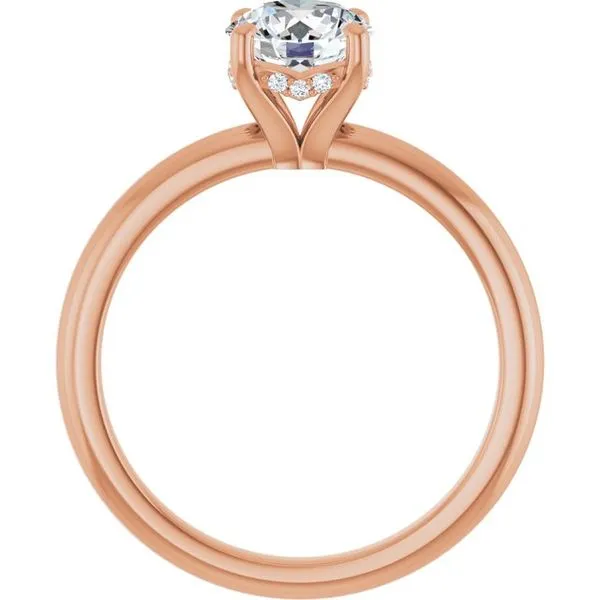 Hidden Halo-Style Engagement Ring Image 2 Raleigh Diamond Fine Jewelry Raleigh, NC