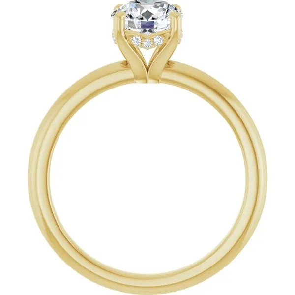 Hidden Halo-Style Engagement Ring Image 2 Raleigh Diamond Fine Jewelry Raleigh, NC