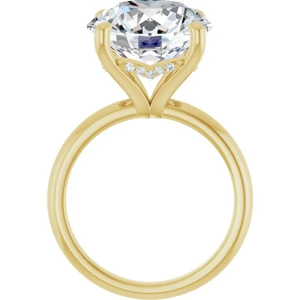 Hidden Halo-Style Engagement Ring Image 2 Raleigh Diamond Fine Jewelry Raleigh, NC