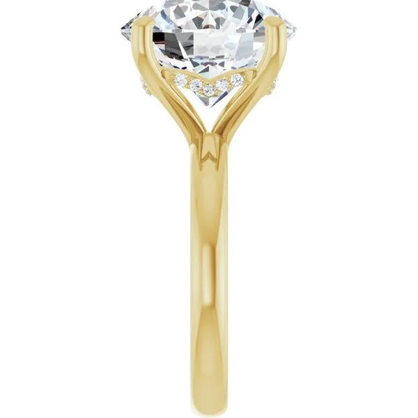 Hidden Halo-Style Engagement Ring Image 4 Raleigh Diamond Fine Jewelry Raleigh, NC