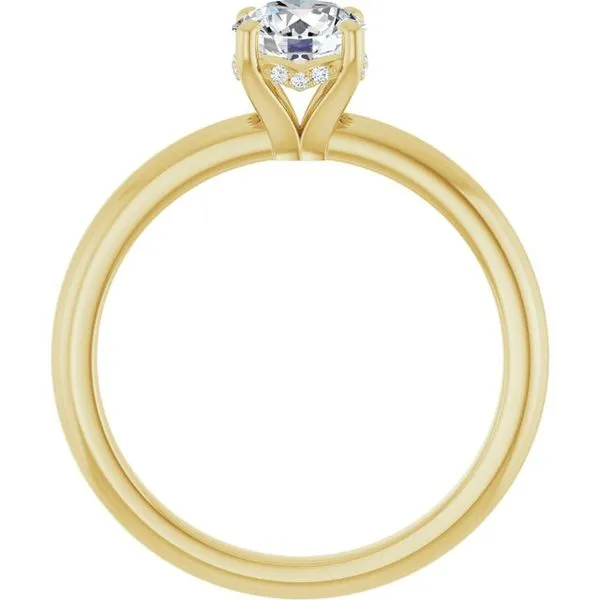 Hidden Halo-Style Engagement Ring Image 2 Dripping Diamonds Dripping Springs, TX