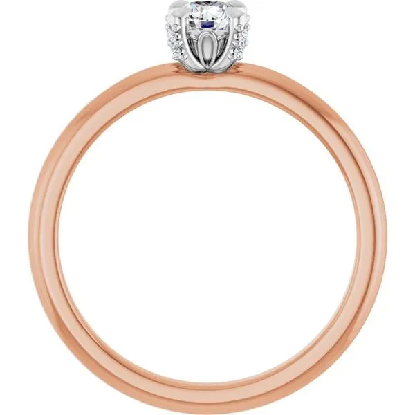 Claw-Prong Accented Engagement Ring Image 2 JF Jones Jewelers Rochester, NY