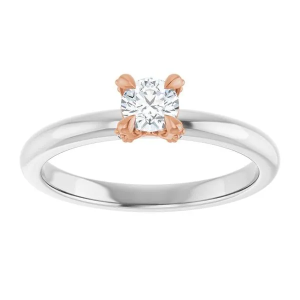 Claw-Prong Accented Engagement Ring Image 3 Austin's Fine Diamonds & Jewelry Lyndhurst, NJ
