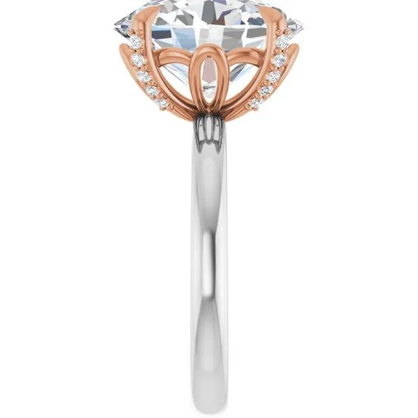 Claw-Prong Accented Engagement Ring Image 4 Clater Jewelers Louisville, KY