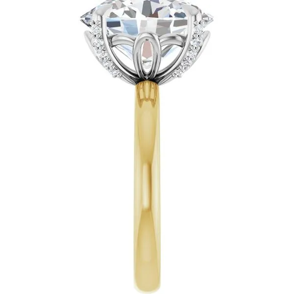 Claw-Prong Accented Engagement Ring Image 4 JF Jones Jewelers Rochester, NY