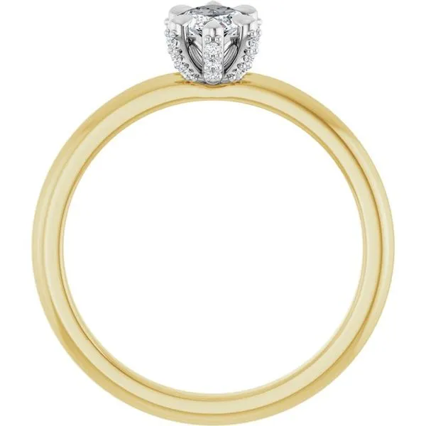 Claw-Prong Accented Engagement Ring Image 2 Don's Jewelry & Design Washington, IA