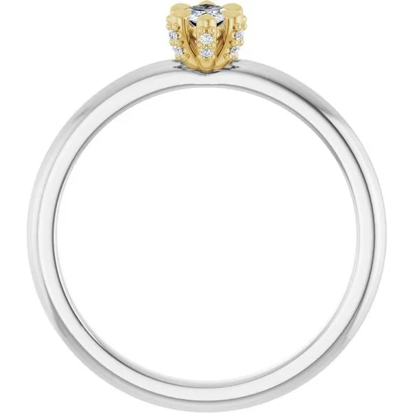 Claw-Prong Accented Engagement Ring Image 2 Clater Jewelers Louisville, KY