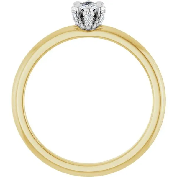 Claw-Prong Accented Engagement Ring Image 2 Don's Jewelry & Design Washington, IA