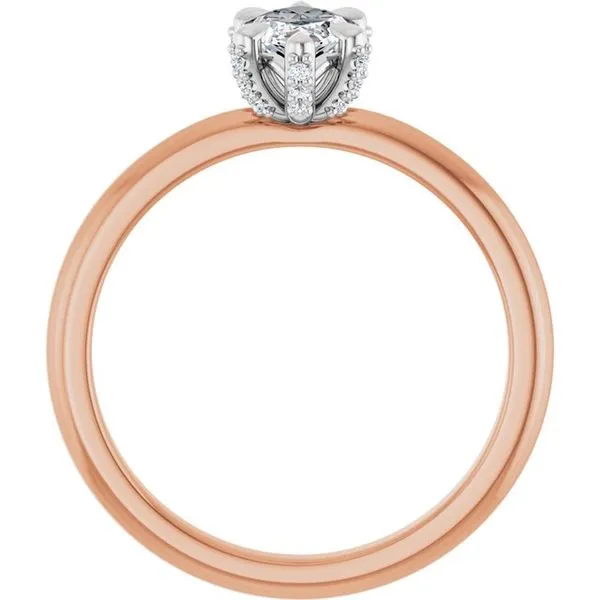 Claw-Prong Accented Engagement Ring Image 2 JF Jones Jewelers Rochester, NY