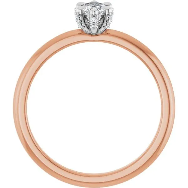Claw-Prong Accented Engagement Ring Image 2 Austin's Fine Diamonds & Jewelry Lyndhurst, NJ