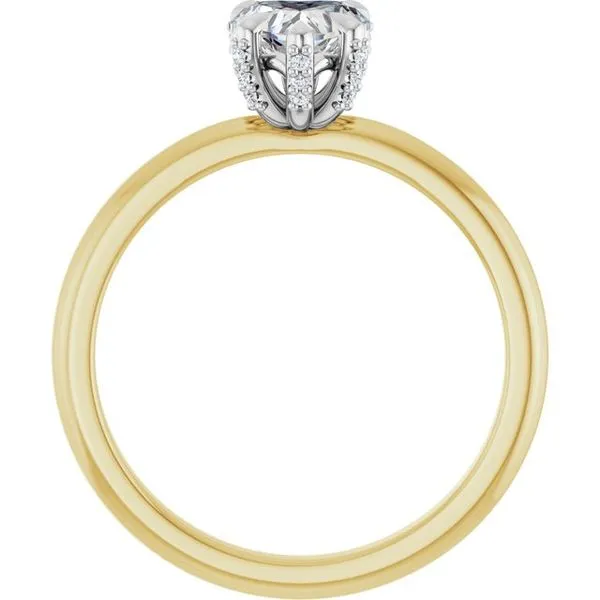 Claw-Prong Accented Engagement Ring Image 2 JF Jones Jewelers Rochester, NY
