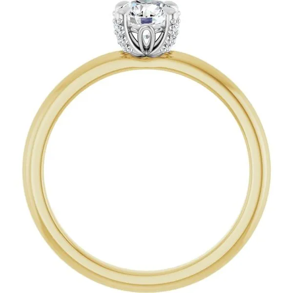 Claw-Prong Accented Engagement Ring Image 2 Don's Jewelry & Design Washington, IA