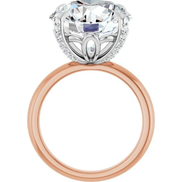 Claw-Prong Accented Engagement Ring Image 2 JF Jones Jewelers Rochester, NY