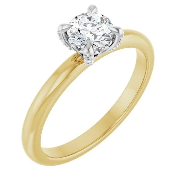 Claw-Prong Accented Engagement Ring JF Jones Jewelers Rochester, NY