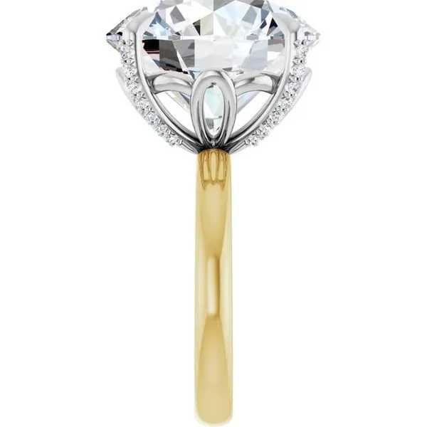 Claw-Prong Accented Engagement Ring Image 4 Don's Jewelry & Design Washington, IA