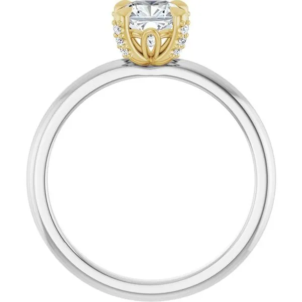 Claw-Prong Accented Engagement Ring Image 2 JF Jones Jewelers Rochester, NY