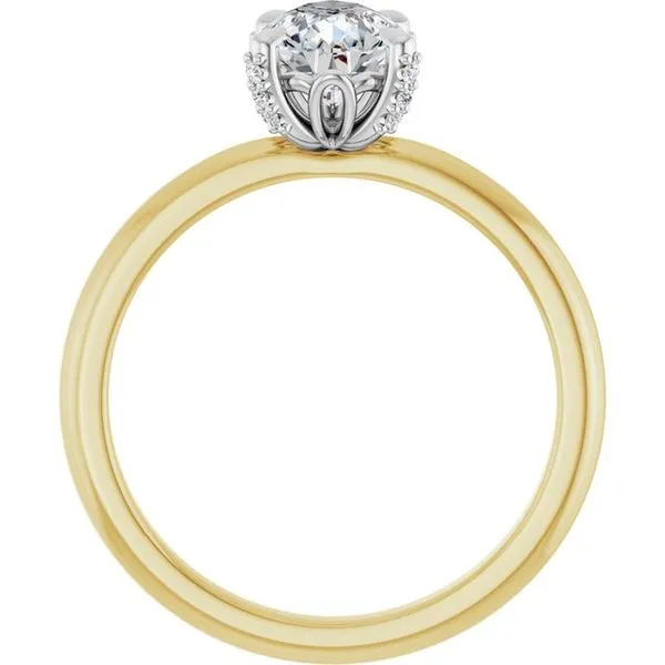 Claw-Prong Accented Engagement Ring Image 2 JF Jones Jewelers Rochester, NY