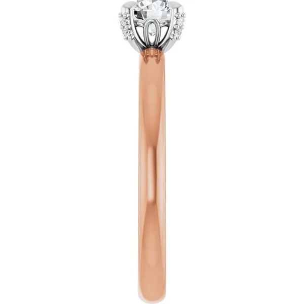 Claw-Prong Accented Engagement Ring Image 4 Hudson Valley Goldsmith New Paltz, NY