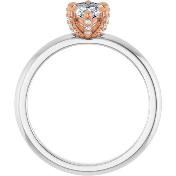 Claw-Prong Accented Engagement Ring Image 2 JF Jones Jewelers Rochester, NY