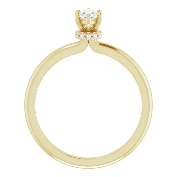 Accented Engagement Ring Image 2 Shipley's Fine Jewelry Hampstead, MD