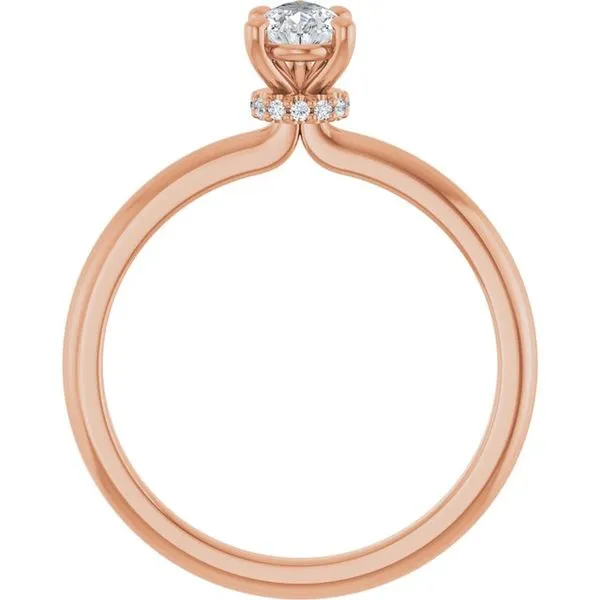 Accented Engagement Ring Image 2 Shipley's Fine Jewelry Hampstead, MD