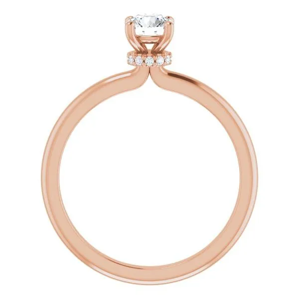 Accented Engagement Ring Image 2 Shipley's Fine Jewelry Hampstead, MD