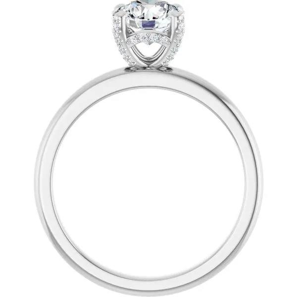 Accented Engagement Ring Image 2 Don's Jewelry & Design Washington, IA