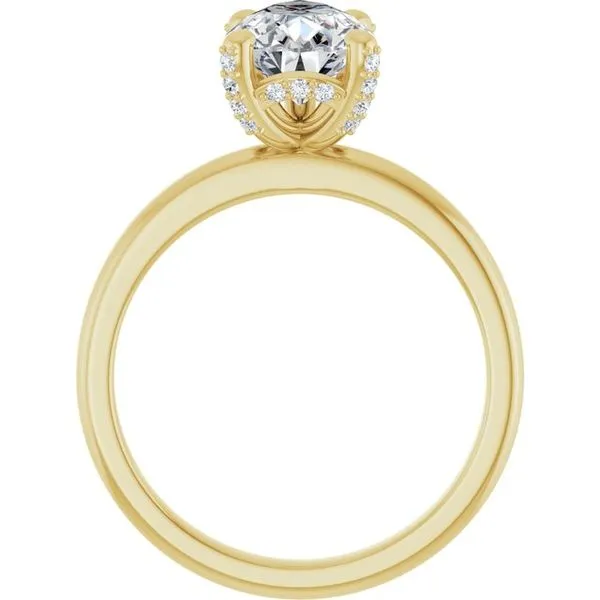 Accented Engagement Ring Image 2 Futer Bros Jewelers York, PA