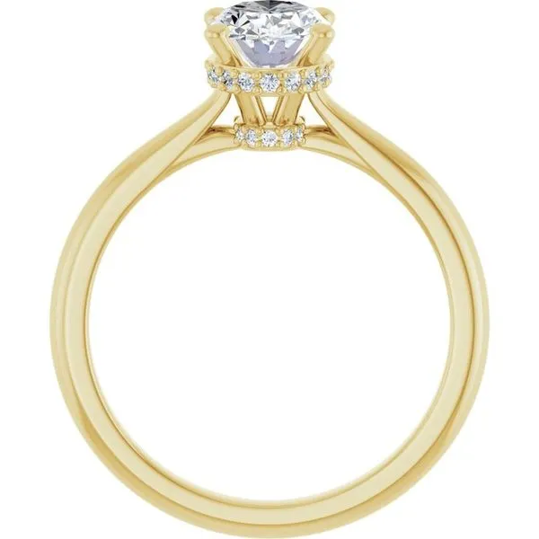 Hidden Halo-Style Engagement Ring Image 2 JF Jones Jewelers Rochester, NY