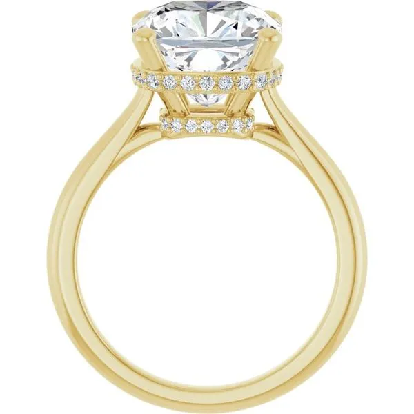 Hidden Halo-Style Engagement Ring Image 2 Clater Jewelers Louisville, KY