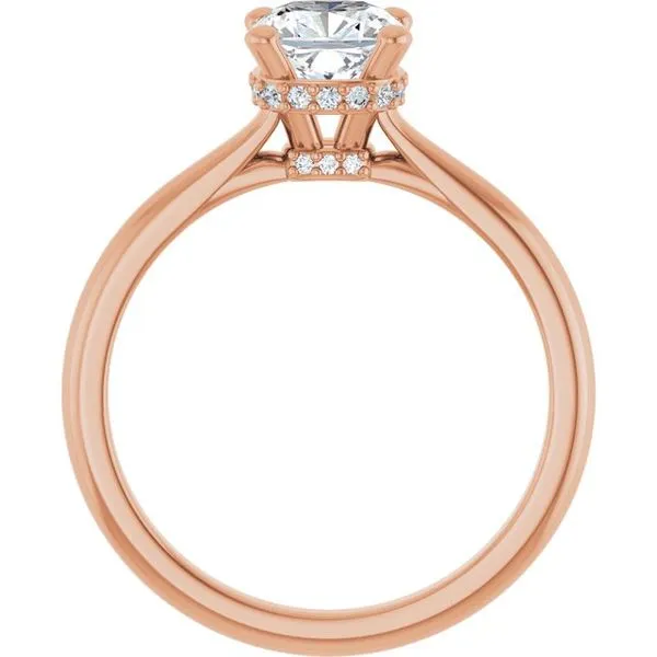 Hidden Halo-Style Engagement Ring Image 2 Don's Jewelry & Design Washington, IA