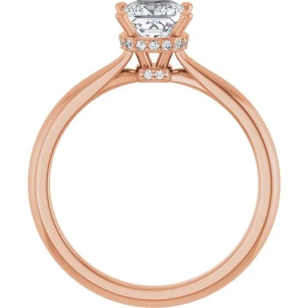 Hidden Halo-Style Engagement Ring Image 2 Don's Jewelry & Design Washington, IA