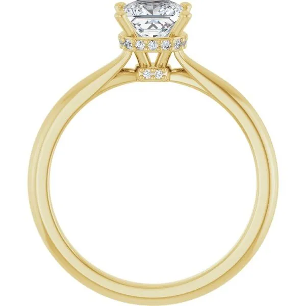 Hidden Halo-Style Engagement Ring Image 2 Clater Jewelers Louisville, KY