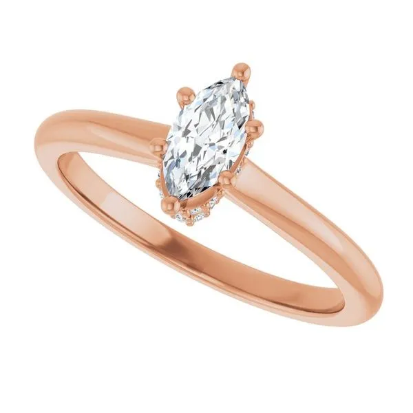 Hidden Halo-Style Engagement Ring Image 5 Don's Jewelry & Design Washington, IA