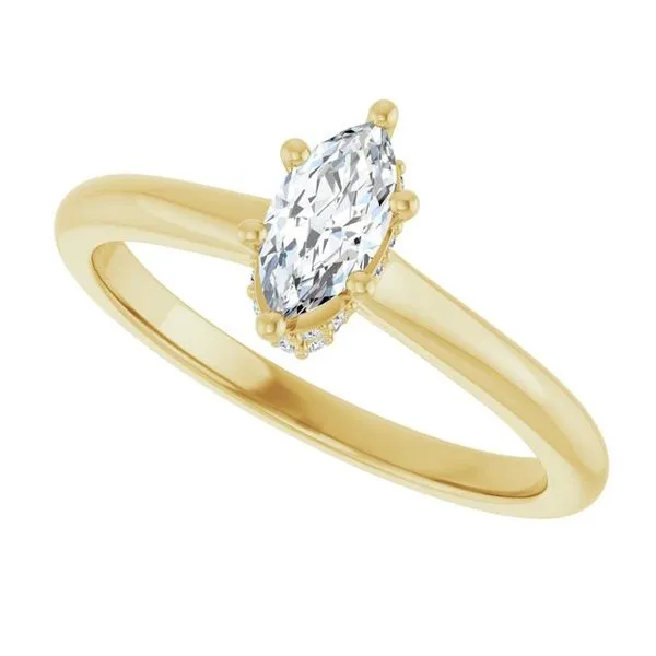 Hidden Halo-Style Engagement Ring Image 5 The Ring Austin Round Rock, TX