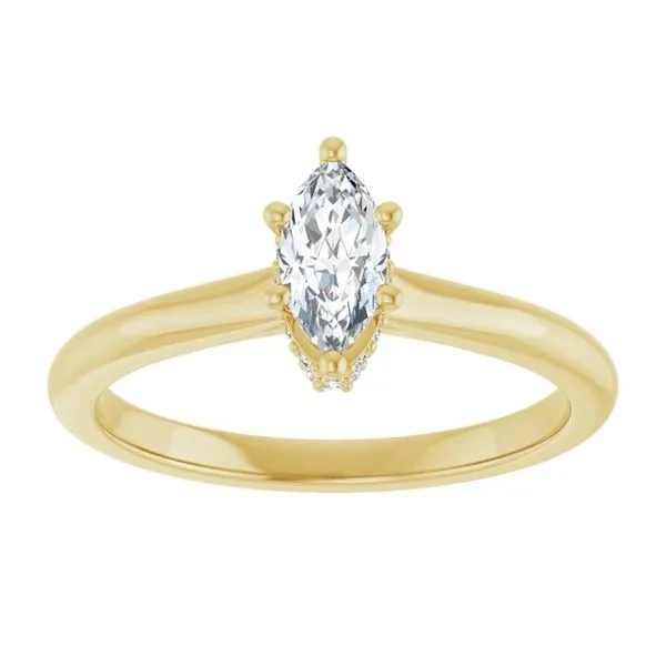 Hidden Halo-Style Engagement Ring Image 3 The Ring Austin Round Rock, TX