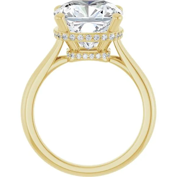Hidden Halo-Style Engagement Ring Image 2 Jimmy Smith Jewelers Decatur, AL