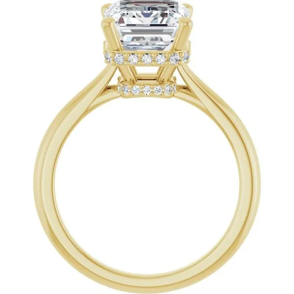 Hidden Halo-Style Engagement Ring Image 2 Clater Jewelers Louisville, KY