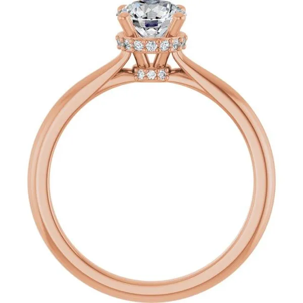 Hidden Halo-Style Engagement Ring Image 2 Clater Jewelers Louisville, KY