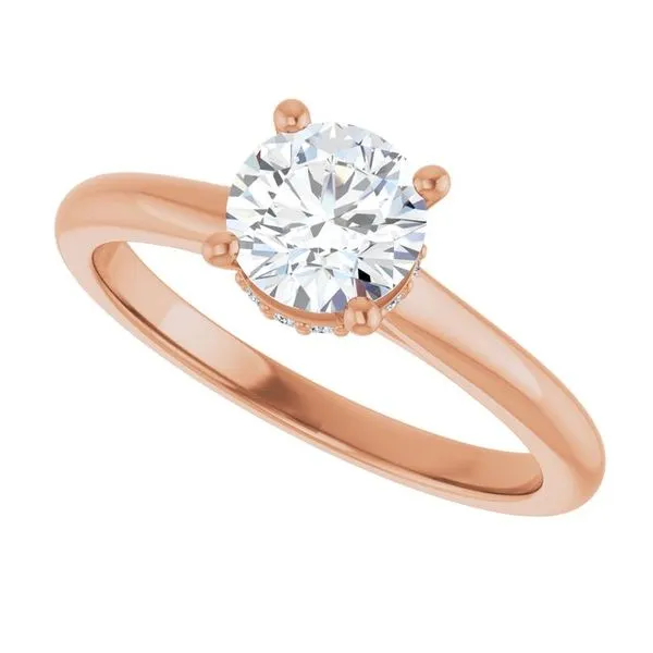 Hidden Halo-Style Engagement Ring Image 5 Clater Jewelers Louisville, KY