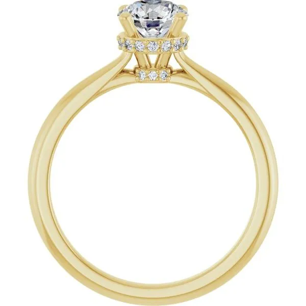 Hidden Halo-Style Engagement Ring Image 2 Don's Jewelry & Design Washington, IA