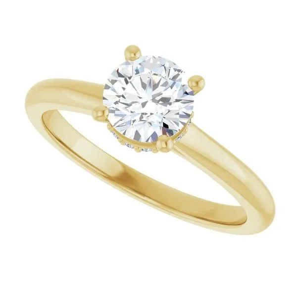 Hidden Halo-Style Engagement Ring Image 5 The Ring Austin Round Rock, TX