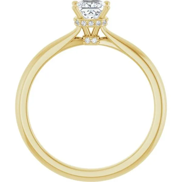 Hidden Halo-Style Engagement Ring Image 2 The Ring Austin Round Rock, TX