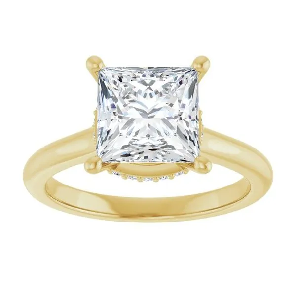 Hidden Halo-Style Engagement Ring Image 3 JF Jones Jewelers Rochester, NY