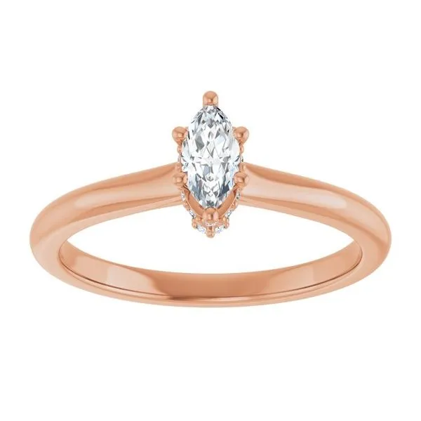 Hidden Halo-Style Engagement Ring Image 3 The Ring Austin Round Rock, TX